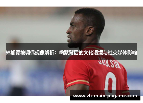 林加德被调侃现象解析：幽默背后的文化语境与社交媒体影响