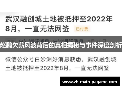 赵鹏欠薪风波背后的真相揭秘与事件深度剖析