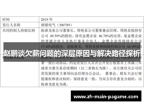 赵鹏谈欠薪问题的深层原因与解决路径探析
