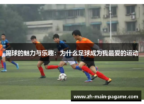 踢球的魅力与乐趣：为什么足球成为我最爱的运动