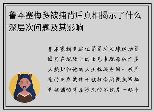 鲁本塞梅多被捕背后真相揭示了什么深层次问题及其影响